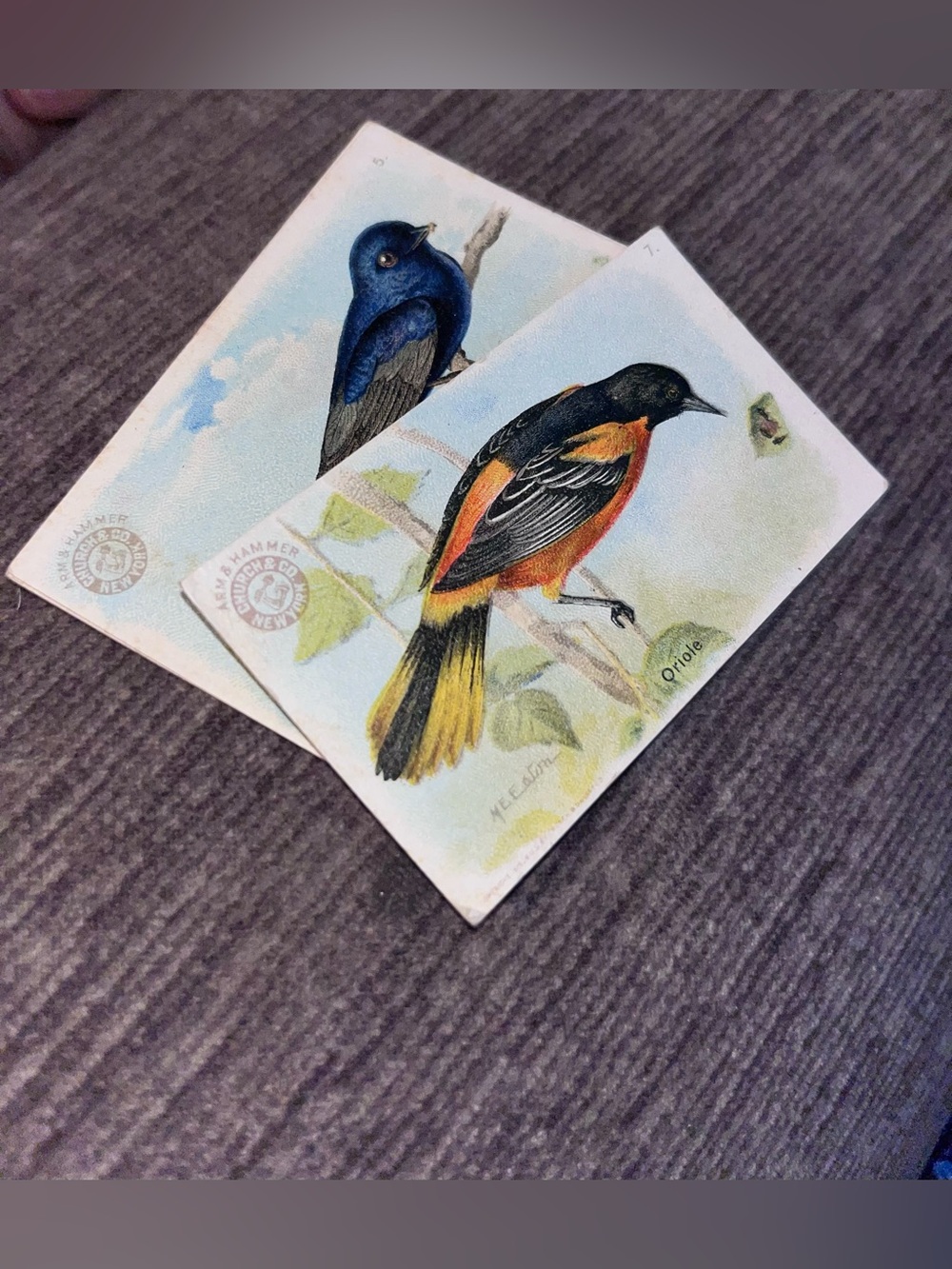 27 Arm & Hammer Church & Dwight Company 1915 "First Series" Useful Birds cards - Picture 5 of 5